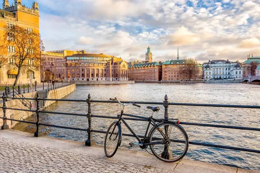 1* Rj4Sjdtv7Qpoqj1Wrnuha